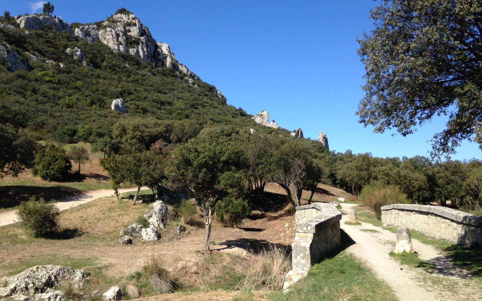 Les Lavandins-Gite Magali Saint-Remy-de-Provence Exterior photo