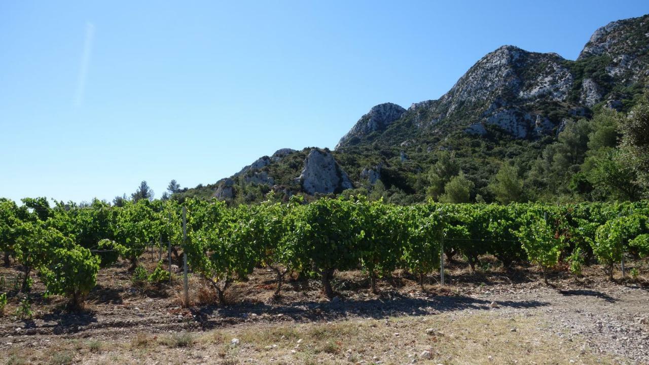 Les Lavandins-Gite Magali Saint-Remy-de-Provence Exterior photo